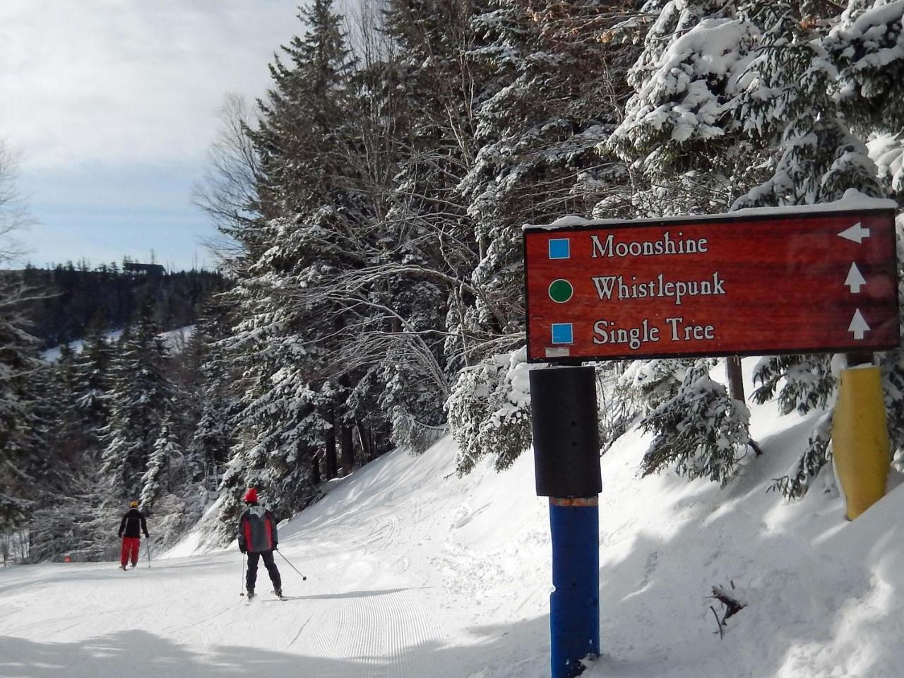 Whistlepunk 32 Βίλα Snowshoe Εξωτερικό φωτογραφία